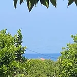 فيلة Kadafi