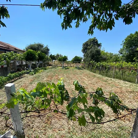 Kadafi Villa *