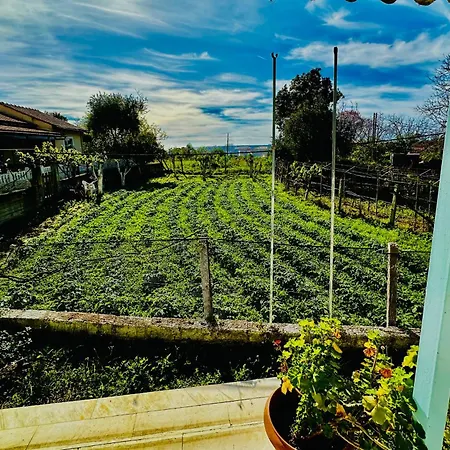 Kadafi Agios Gordios (Corfu)