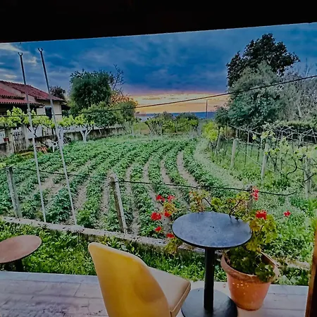 Vila Kadafi Agios Gordios (Corfu)