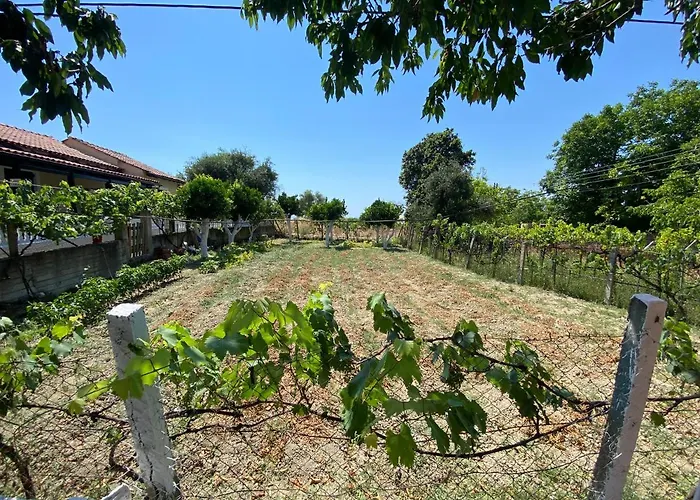 Kadafi Villa *