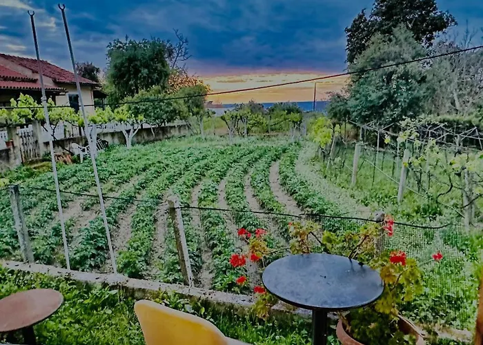 Villa Kadafi Agios Gordios (Corfu)